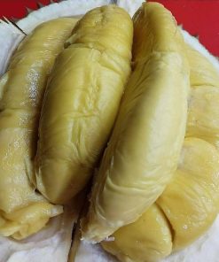 bibit durian montong super manis Papua Barat