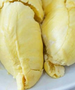 bibit durian montong Sulawesi Utara