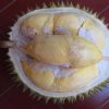 Bibit Tanaman Buah Durian Bawor Jawa Timur