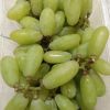 Bibit anggur import banana bisa COD Bitung