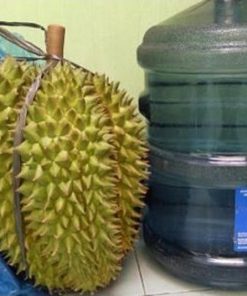 bibit durian bawor kaki 3 okulasi unggul Tidore Kepulauan