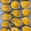 bibit durian musangking super cepat berbuah Palu