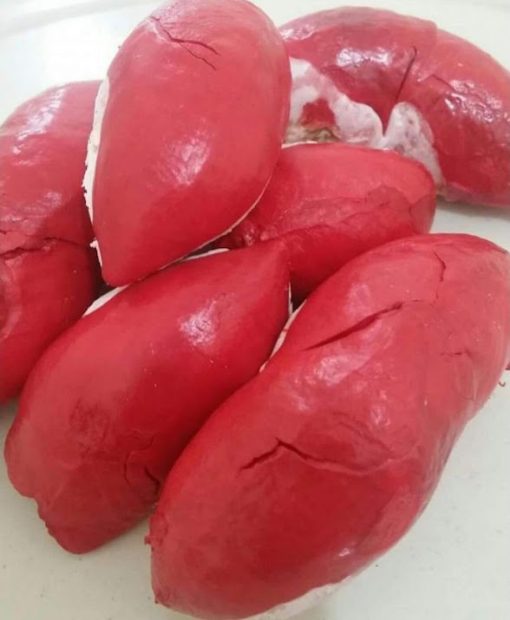 BIBIT DURIAN MERAH ASLI Cimahi