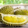 DODOL BOGARASA DURIAN DUREN Jawa Timur