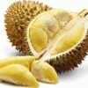bibt durian montong kaki 3 cepat berbuah Kota Administrasi Jakarta Timur