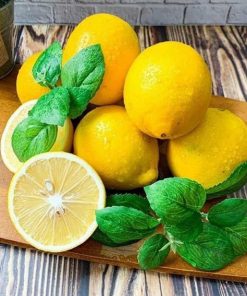 Bibit jeruk lemon California berbuah jeruk lemon Sulawesi Utara