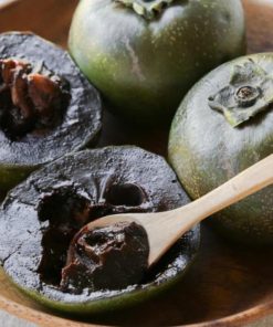 Bibit Black Sapote Buah Puding Coklat Salatiga