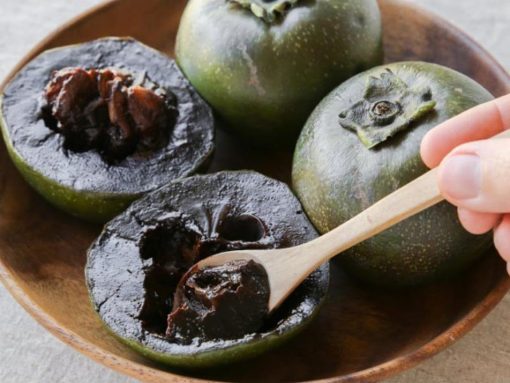 Bibit Black Sapote Buah Puding Coklat Salatiga