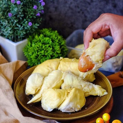 bibit tanaman buah durian musangking Tomohon