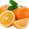 bibit jeruk sunkist navel Bitung