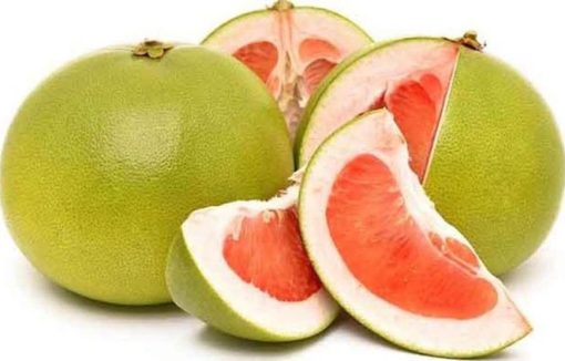 bibit jeruk bali Kalimantan Selatan