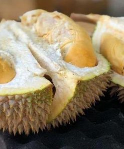 tanaman bibit buah durian musangking kaki 3 okulasi cepat berbuah Samarinda