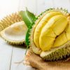 bibit durian bawor tabulampot Bengkulu