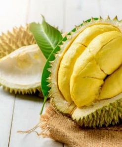 bibit durian bawor tabulampot Bengkulu