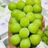 bibit anggur import shine muscat japan ori bibit anggur stek grafting bibit anggur murah Padangpanjang