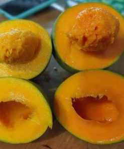 jual bibit mangga alpukat super manis bisatambulapot Probolinggo