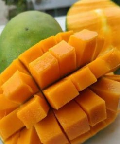 jual bibit mangga arumanis Mamasa