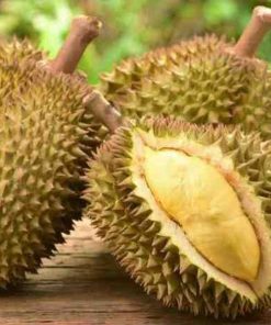 jual bibit tanaman buah durian bawor Lamandau