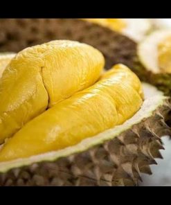 jual tanaman durian musangking super Tanah bumbu