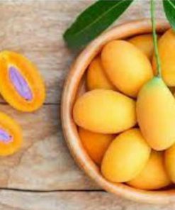 jual tanaman mangga gandaria berkwalitas unggul hasil okulasi dengan pohon yg sudah berbuah tabulampot Banyuwangi